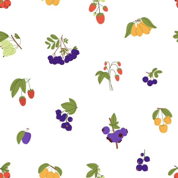 ilustrações de stock, clip art, desenhos animados e ícones de different berries branches on endless background. repeatable pattern of ripe strawberry, gooseberry, sea buckthorn, blueberry, raspberry. wild and garden currant. flat seamless vector illustration - berry fruit currant variation gooseberry