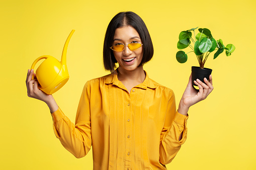 Portrait of smiling Asian woman wearing stylish yellow sunglasses, watering flower pot, holding yellow watering can, looking at camera, standing isolated on yellow background. Care concept