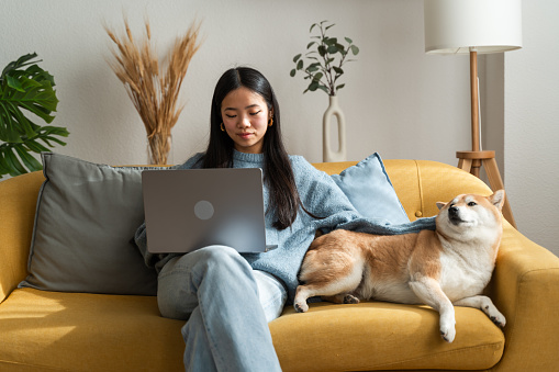 Focused woman on a yellow couch works on her laptop beside a content shiba inu dog