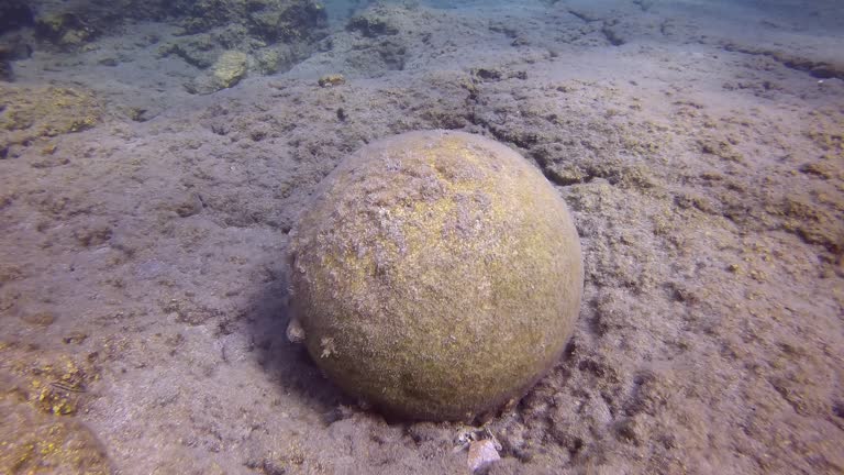 Top view, Close up of an old stone cannonball lying on rocky seabed in Mediterranean Sea