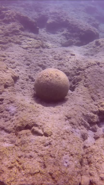Top view, Close up of an old stone cannonball lying on rocky seabed in Mediterranean Sea