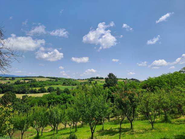 istock Beautiful nature in the spring 2147698436