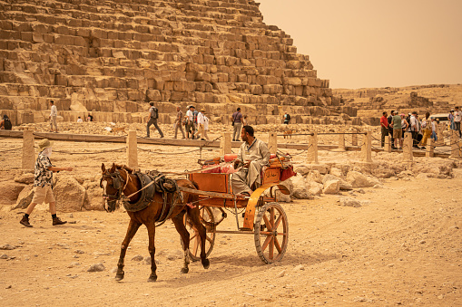 Giza, Cairo, Egypt - April 9, 2023 Bedouin man riding horse drawn carriage in front of the Giza Necropolis pyramids complex. Egypt, Africa