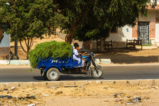 Luxor, Egypt - April 10, 2023 Farmers returning from fields with donkey cart and sugar cane, Edfu, Egypt