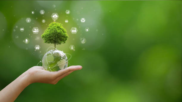 istock A hand is holding a globe with a tree growing on it. Several icons representing sustainability and environmentalism surround the tree. World environment day, ESG, co2, and net zero. green energy. 2147699559