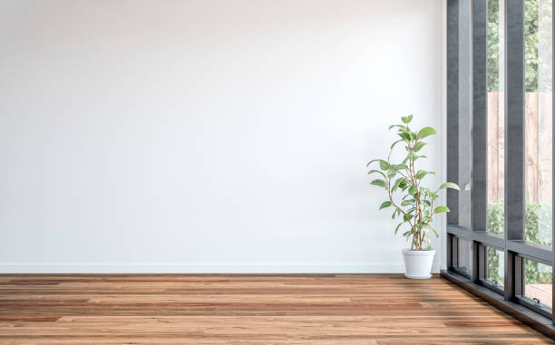 istock A side view of a modern empty unfurnished interior with a white empty wall bakground, a potted plant ficus, a garden view through windows in the background 2147701225