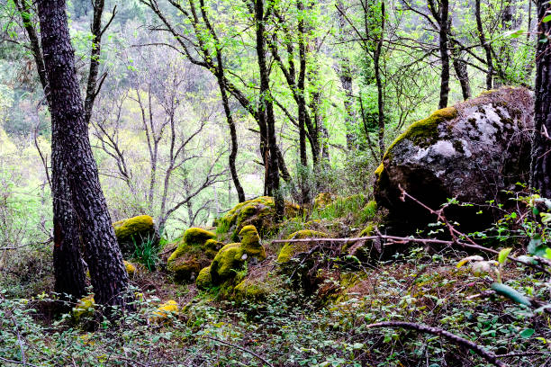 istock Primavera en el Valle de Iruelas 2147703619