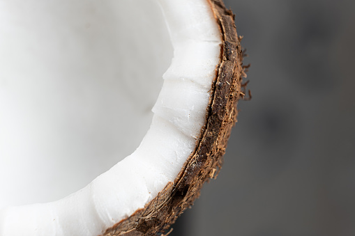 Macro coconut pulp and coconut husk on grey background
