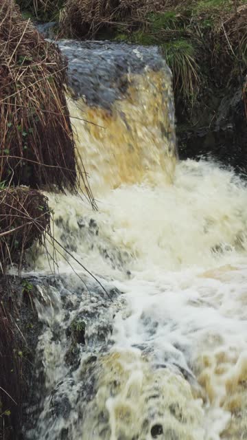 Fast flowing stream in a rural location