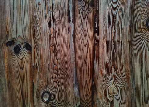 Plank with a pronounced wooden texture