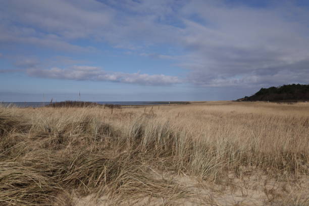 istock Beautiful winter's day in Cuxhaven 2147706123