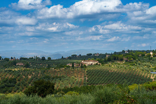Rural landscape of Chianti, Florence province Tuscany, Italy, at summer