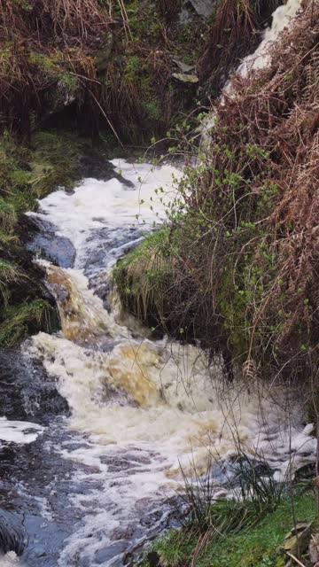 Fast flowing spring in a rural location