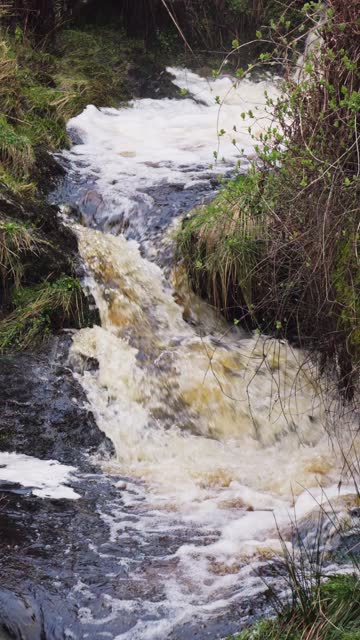 Fast flowing spring in a rural location