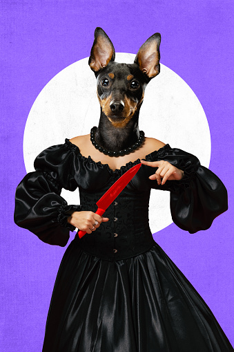 Contemporary art collage. Queen with Doberman head in black old-fashion, vintage dress posing holding red knife. Concept of comparisons of eras, animals with character of their owners.
