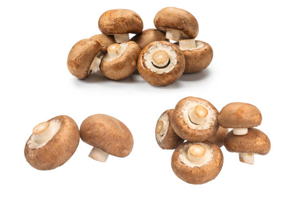 istock Tasty mushroom isolated on white background. 2147708504
