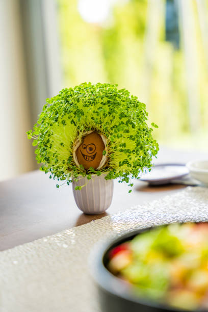 Micorgreens