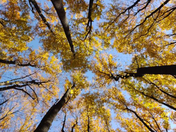 istock Mind blowing colors found in nature 2147712391