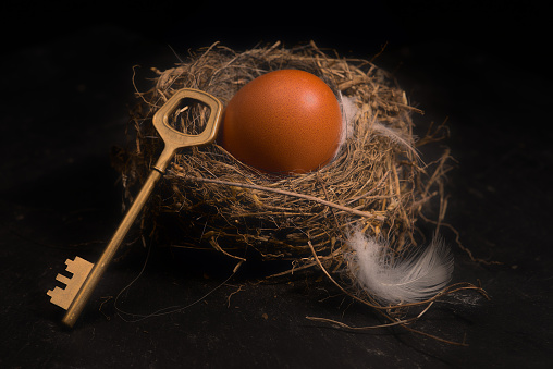 real estate, keys, nest and egg, symbol of habitation