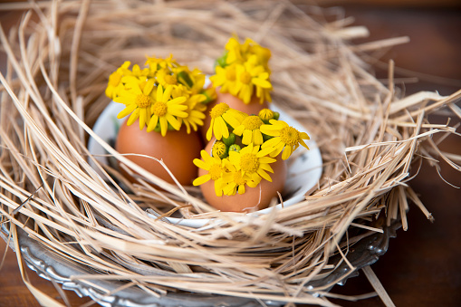 Easter home decoration. Egg shell with small yellow wildflowers on spring twigs  floral arrangement for spring Holiday