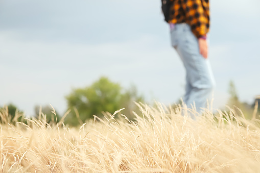 Landscape view of dry savanna with blue sky background. Hipster woman style. Millennial yellow and black checkered plaid shirt. Design. Fashion lifestyle. Casual clothes. Blue denim. Yellow dry grass.