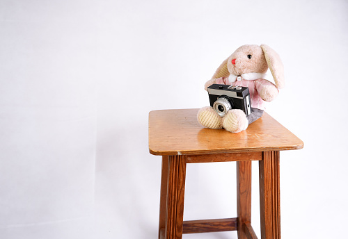 A plush rabbit toy holds a camera in its paws