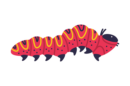 Red Caterpillar as Larval Stage of Insect Crawling and Creeping Vector Illustration. Small Insect Species with Long Colorful Body