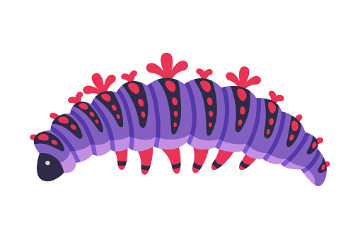 Purple Caterpillar as Larval Stage of Insect Crawling and Creeping Vector Illustration. Small Insect Species with Long Colorful Body