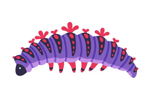 Vector illustration of Purple Caterpillar as Larval Stage of Insect Crawling and Creeping Vector Illustration
