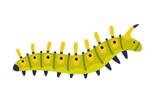 Bright Green Caterpillar as Larval Stage of Insect Crawling and Creeping Vector Illustration. Small Insect Species with Long Colorful Body