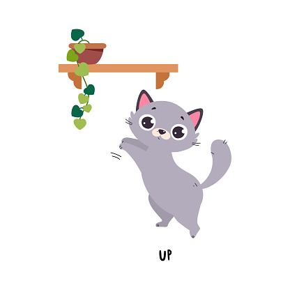 Little Grey Cat Reach Up to Shelf as English Language Preposition for Educational Activity Vector Illustration. Funny Kitten Pet Demonstrating Vocabulary