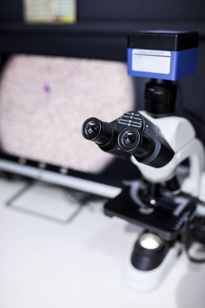 istock Laboratory, Microscope, Disease Research, Germs And Viruses, DNA Test 2147722150