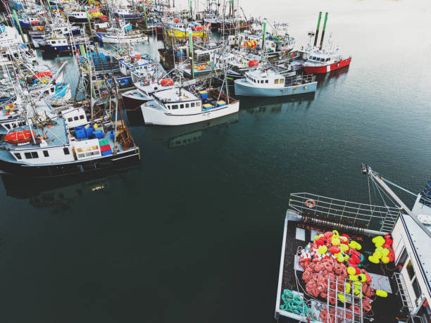Aerial view of a small town fishing village wharf at dusk.