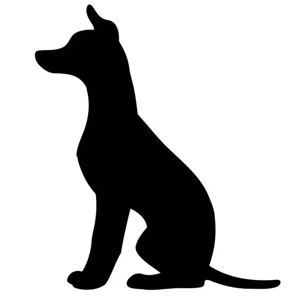 Vector illustration of Simple and adorable silhouette of Italian Greyhound sitting in side view