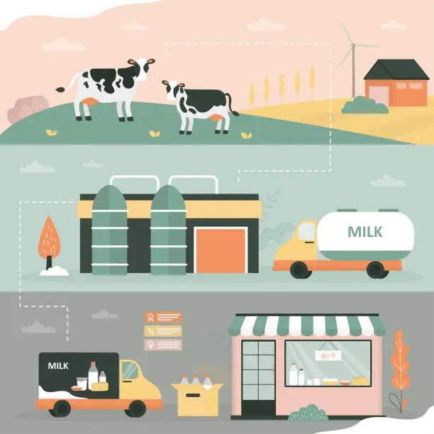 Vector illustration of Milk production and processing stages from dairy farm to farmer shop. Milk processing from dairy farm to factory to consumer.