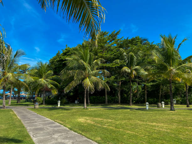 istock Greenery yard full of trees at day. 2147724794