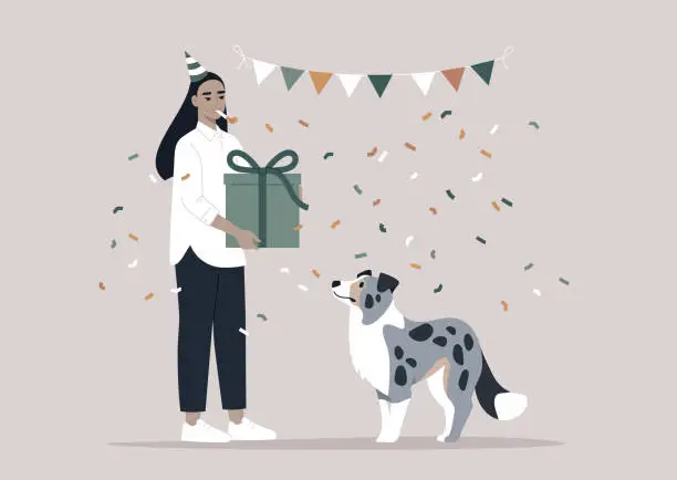 Vector illustration of Celebrating a blue marble Border Collies Birthday With Festive Cheer, An owner presents a gift to an attentive puppy amidst a shower of confetti