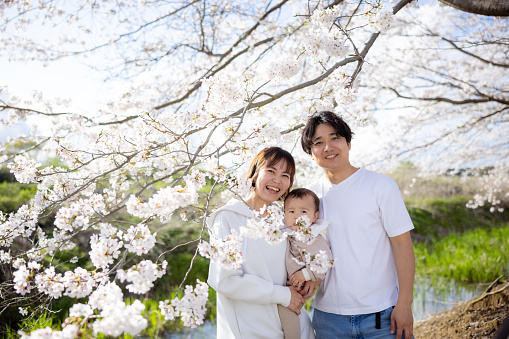 Portrait of family standing under cherry blossoms