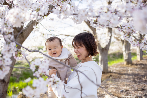 Mother holding her baby boy under cherry blossoms