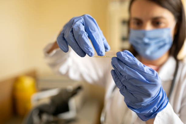 istock Female doctor having a medical experiment in a testing laboratory 2148013233