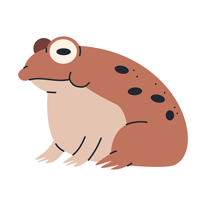 Cute desert frog vector cartoon illustration isolated on a white background.