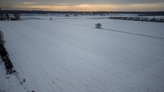 Snow-covered winter landscape with fields and trees around Weiterstadt captured with a drone on a winter evening