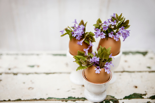 Egg shell with small purple wildflowers on spring twigs  floral arrangement for spring Holiday