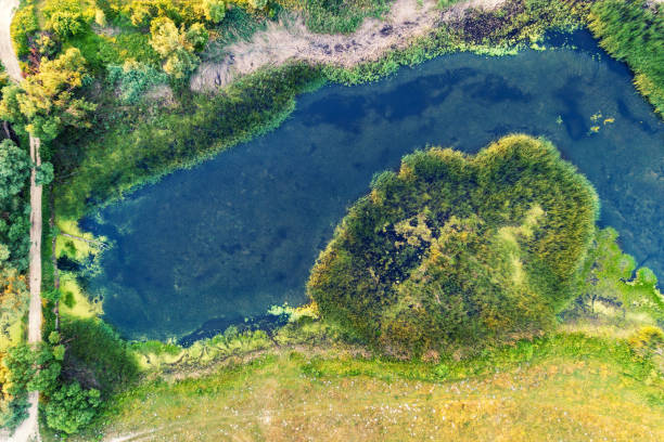 istock A winding stream flows across the field. View from above 2148024999