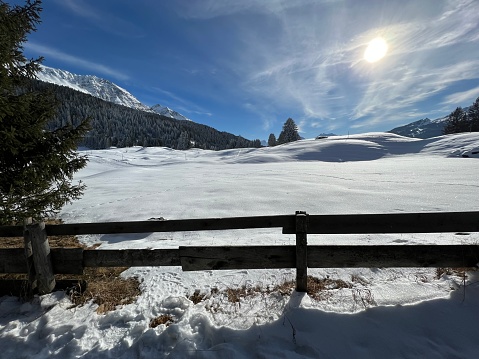 Wintery, snow-covered landscape near Nesselwang (Ostallgäu, Bavaria). In the foreground a wooden snow fence, in the background the mountains. Winter sports region.