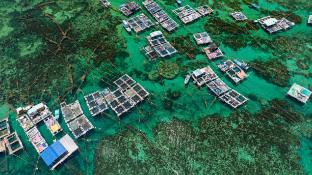 istock circle HDPE fish farm by Phu Quy island 2148027260