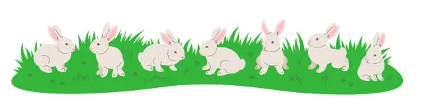 Vector illustration of Cute little bunnies playing in green meadow horizontal header banner