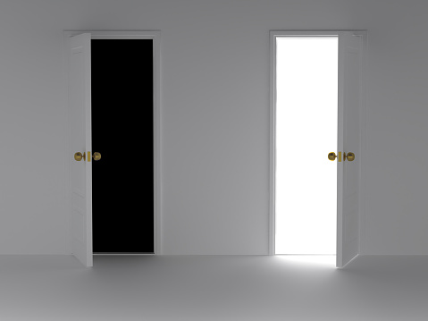 Two doors choosing. Digitally Generated Image
