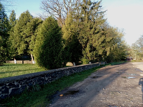 A low fence made of river stone that separates the village park from the carriageway of the road. Themes of the park and vegetation. Beautiful coniferous trees are surrounded by a stone fence.