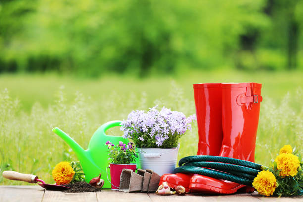 istock Rubber boots with hose and flowers on wooden board 2148031215